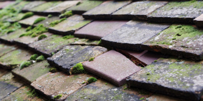 Pen Y Groes roof repair costs
